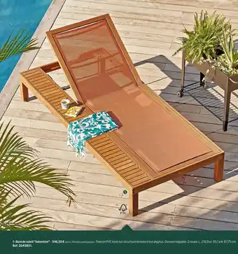 Jardiland Bain de soleil valentine offre