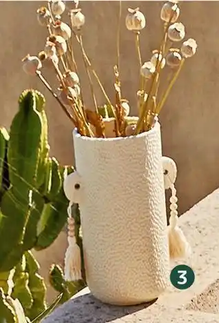 Jardiland Vase avec pompons offre