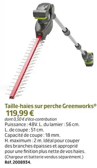 Greenworks taille-haies sur perche