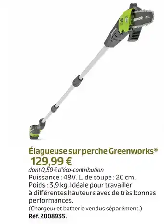 Élagueuse sur perche greenworks®