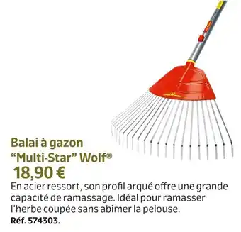Jardiland Balai à gazon “multi-star” wolf® offre