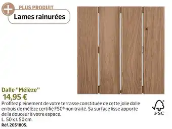 Jardiland Dalle ‘’mélèze’’ offre