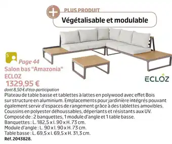 Jardiland Ecloz salon bas amazonia offre