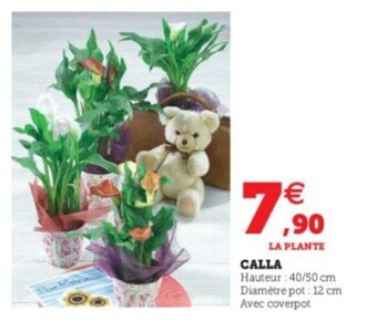 Super U Calla offre