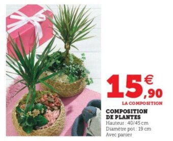 Super U Composition de plantes offre