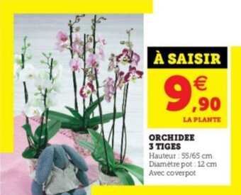 Super U Orchidee 3 tiges offre