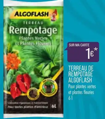 Match Terreau de rempotage algoflash offre