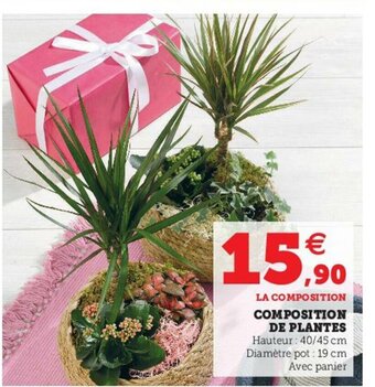 Hyper U Composition de Plantes offre