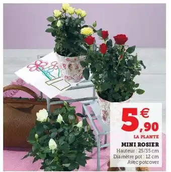 Hyper U Mini Rosier offre