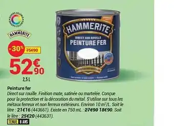Peinture Fer Hammerite