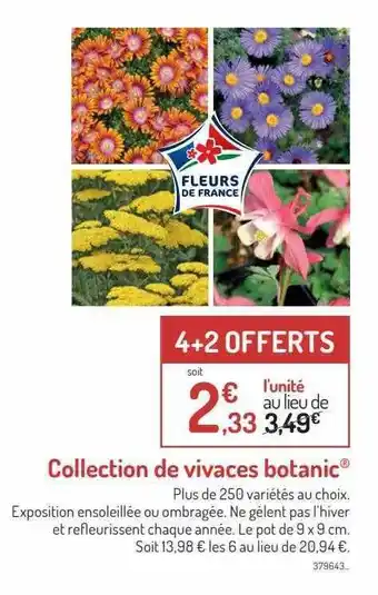 Botanic Collection De Vivaces Botanic offre