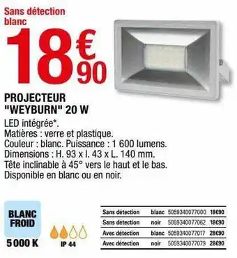 Brico Dépôt Projecteur offre
