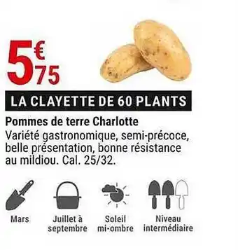 Gamm vert Pommes De Terre Charlotte offre