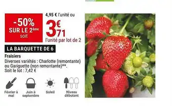 Gamm vert Fraisiers offre