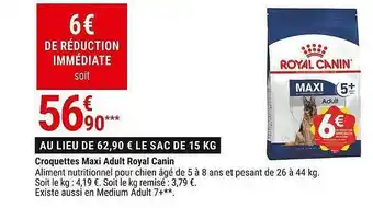 Croquettes Maxi Adult Royal Canin