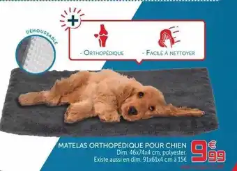 Gifi Matelas Orthopédique Pour Chien offre