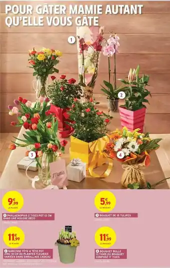 Intermarché Hyper Phalaenopsis 2 Tiges Pot 12 Cm Dans Une Housse Déco, Bouquet De 15 Tulipes, Narcisse Tête à Tête Pot Zinc 18 Cm Ou Plantes Fl offre
