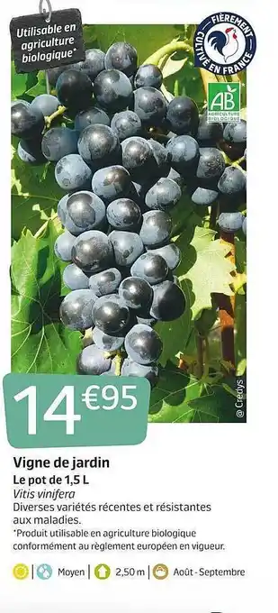 Jardiland Vigne De Jardin offre