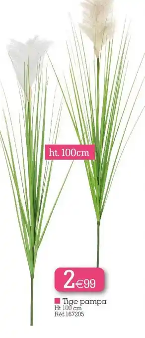 Kandy Tige Pampa offre