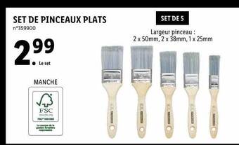 Lidl Set De Pinceaux Plats offre