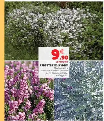 Super U Arbustes De Jardin offre
