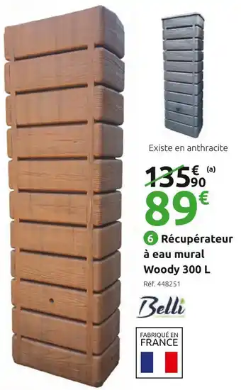 Mr Bricolage Récupérateur à eau mural woody 300 l offre