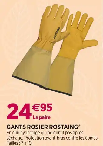 Delbard Gants rosier rostaing offre