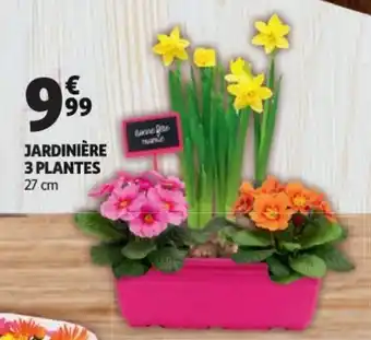 Auchan Jardinière 3 plantes offre