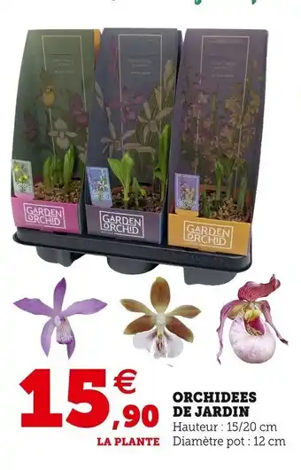 Super U Orchidees de jardin offre