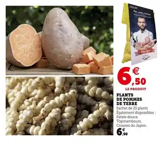 Super U Plants de pommes de terre offre
