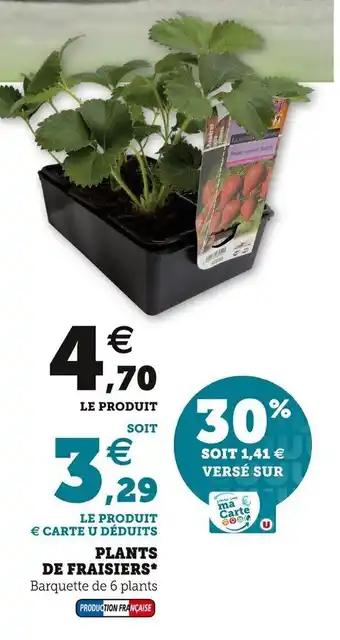 Super U Plants de fraisiers offre