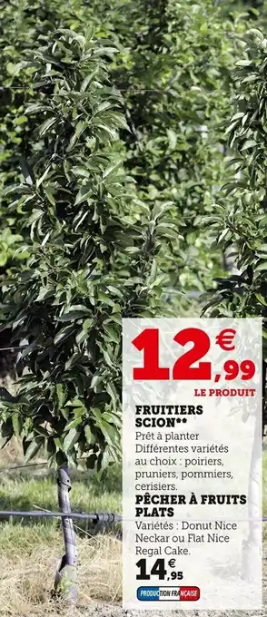 Super U Fruitiers scion offre