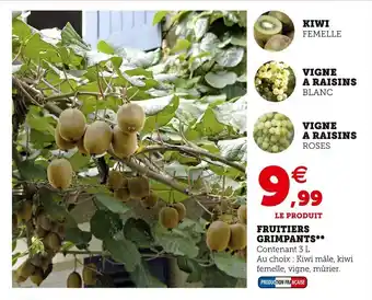 Super U Fruitiers grimpants offre