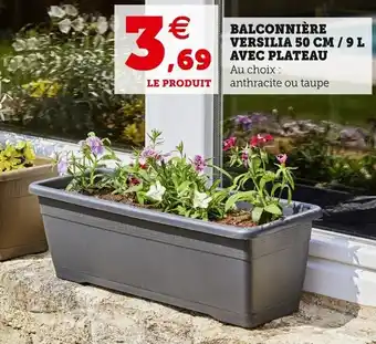 Super U Balconniere versilia 50 cm offre