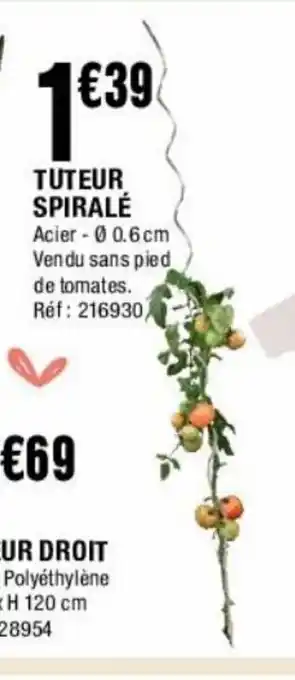 Tuteur Spiralé