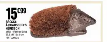 La Foir'Fouille Brosse à Chaussures Hérisson offre