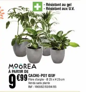La Foir'Fouille Cache-Pot œuf offre