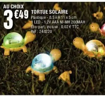 La Foir'Fouille Tortue Solaire offre
