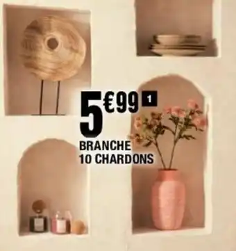 Branche 10 Chardons