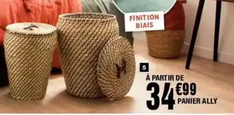 La Foir'Fouille Panier Ally offre