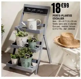 Porte-Plantes Escalier
