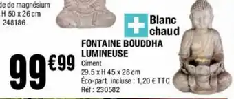 La Foir'Fouille Fontaine Bouddha offre