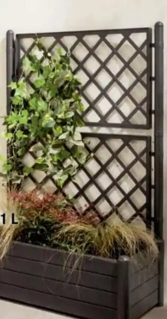 La Foir'Fouille Bac à Fleurs offre