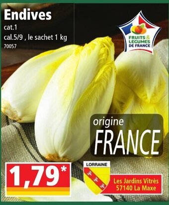 Norma Endives offre