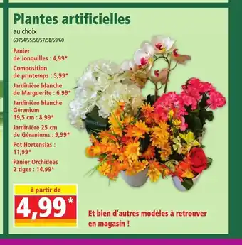 Norma Plantes Artificielles offre