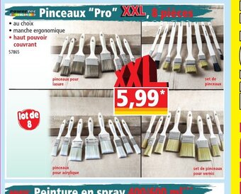 Norma Pinceaux "Pro" offre