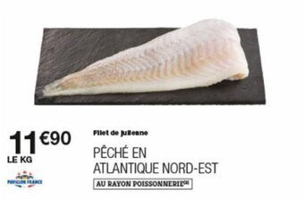 Filet de julienne