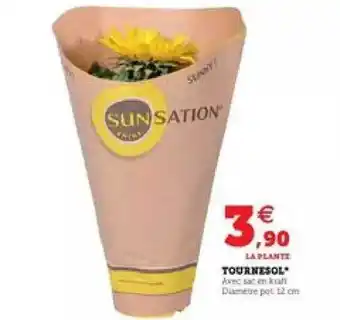 U Express Tournesol offre