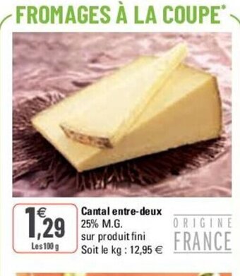 G20 Cantal Entre-Deux offre