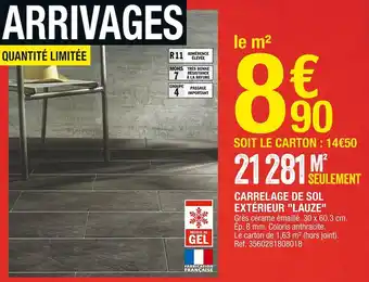 Carrelage de sol extérieur "lauze"